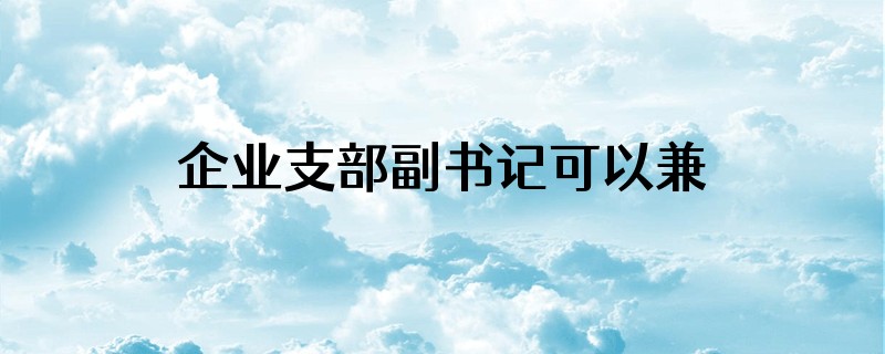 企业支部副书记可以兼任总监吗