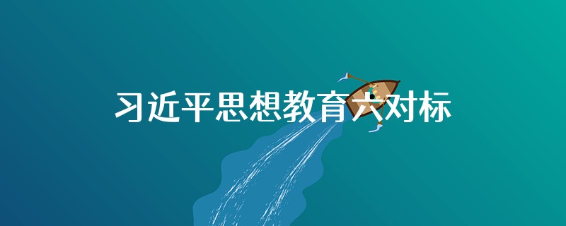 习近平思想教育六对标六验视是什么