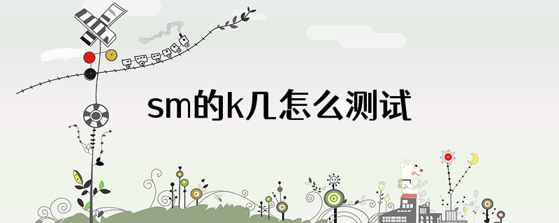 sm的k几怎么测试