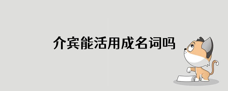 介宾能活用成名词吗