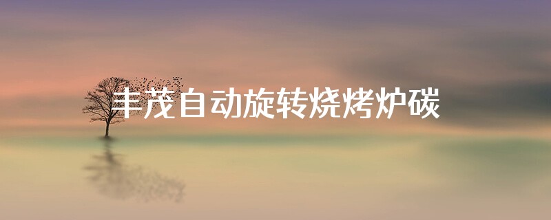 丰茂自动旋转烧烤炉碳盒尺寸