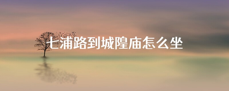 七浦路到城隍庙怎么坐地铁