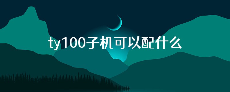 ty100子机可以配什么车遥控器
