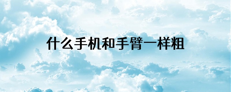 什么手机和手臂一样粗