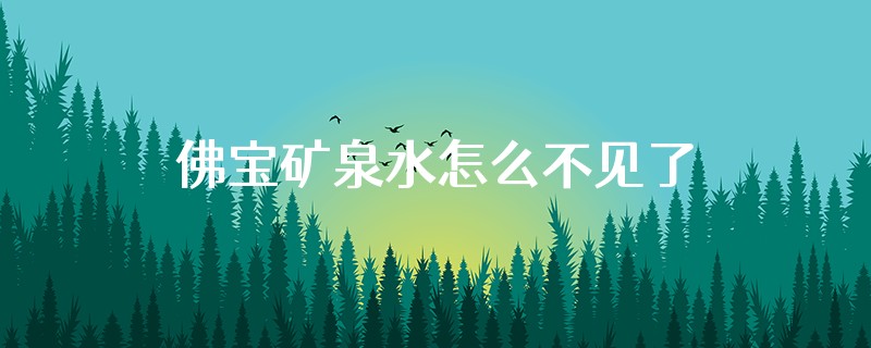 佛宝矿泉水怎么不见了