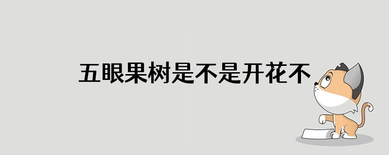 五眼果树是不是开花不结果结果不开花呀