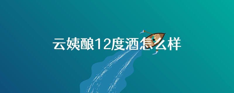 云姨酿12度酒怎么样