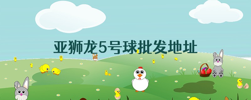 亚狮龙5号球批发地址武汉