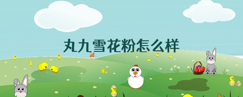 丸九雪花粉怎么样