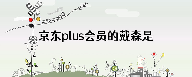 京东plus会员的戴森是正品吗