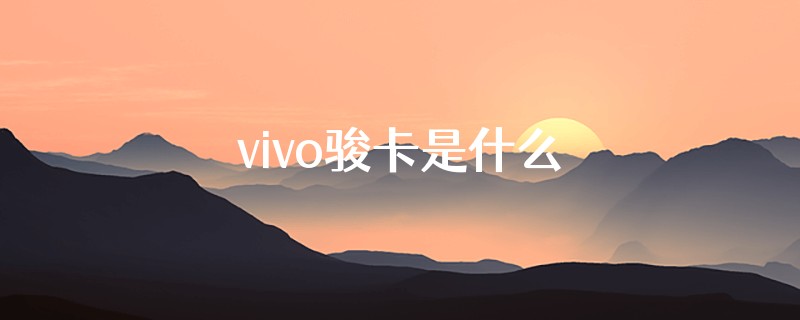 vivo骏卡是什么