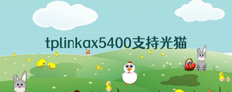 tplinkax5400支持光猫棒吗