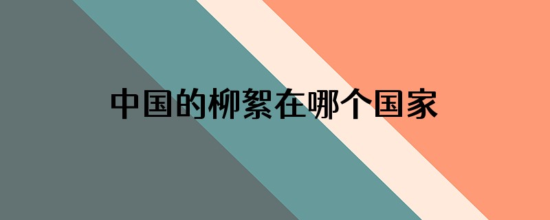 中国的柳絮在哪个国家引进的
