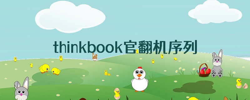 thinkbook官翻机序列号和正版一样吗