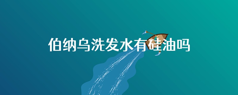 伯纳乌洗发水有硅油吗