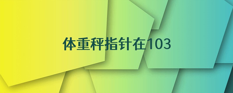 体重秤指针在103