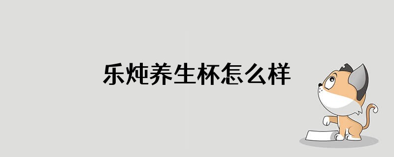乐炖养生杯怎么样