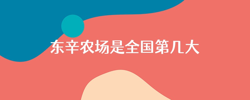 东辛农场是全国第几大农场