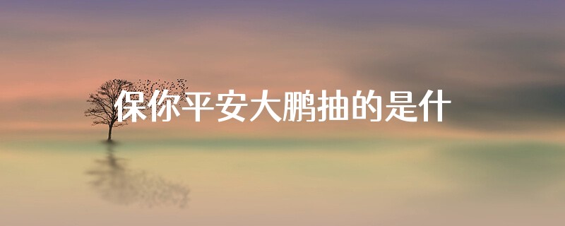 保你平安大鹏抽的是什么烟